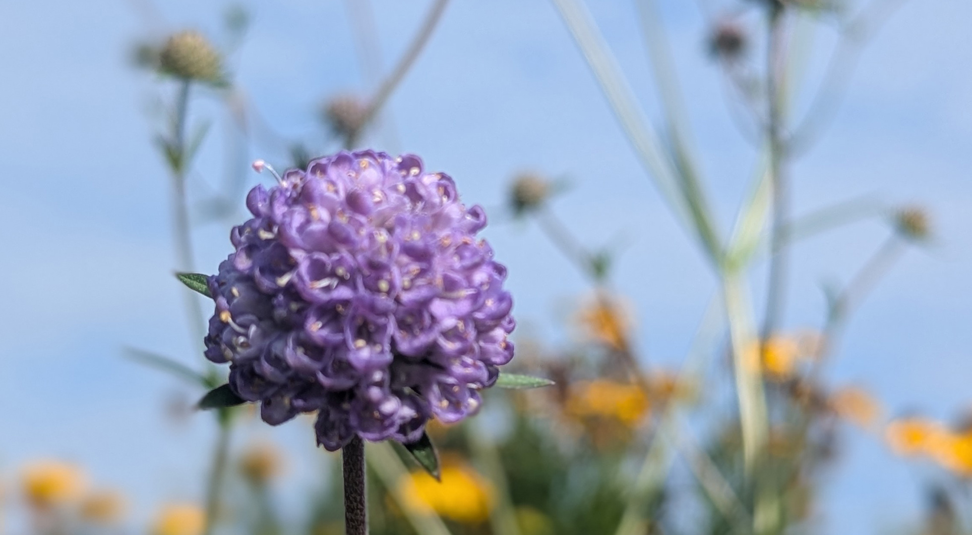 Rebel Garden Design, Garden design North Devon, landscaping North Devon, natural inspired garden deisgn Devon,