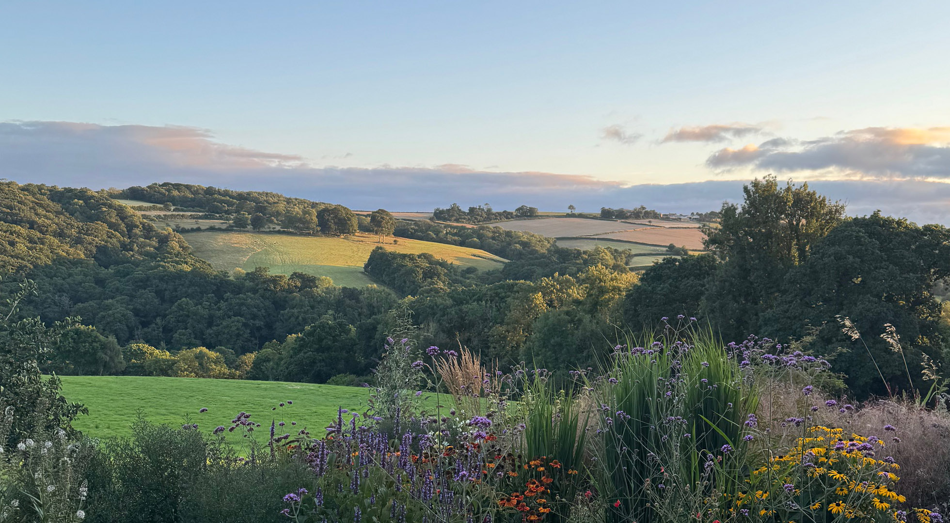 Rebel Garden Design, Garden design North Devon, landscaping North Devon, natural inspired garden deisgn Devon,